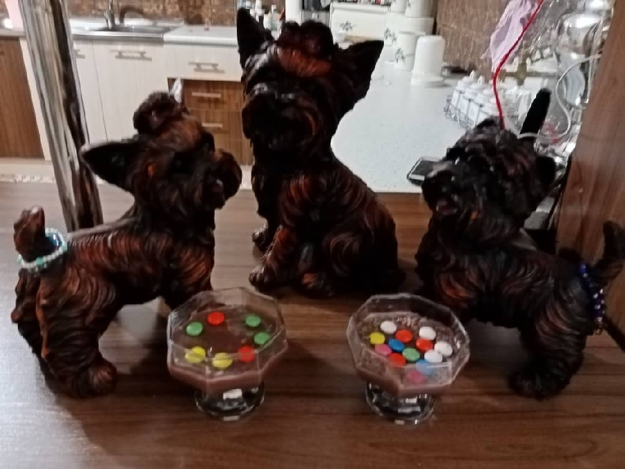 پودینگ شکلاتی