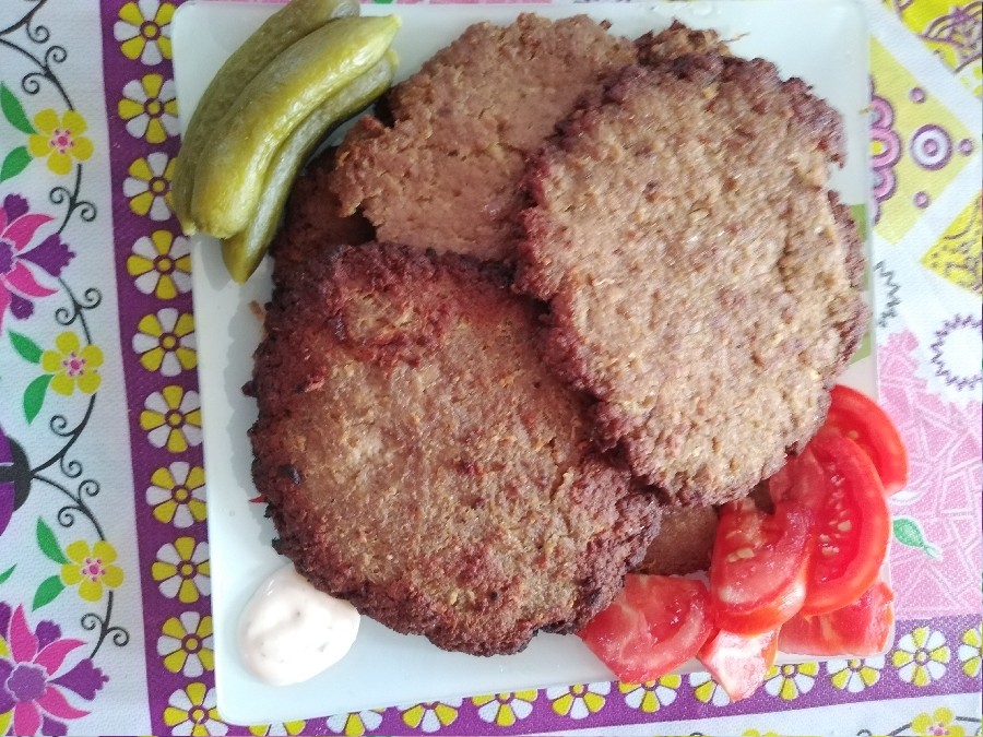 عکس همبر خونگی داداشم