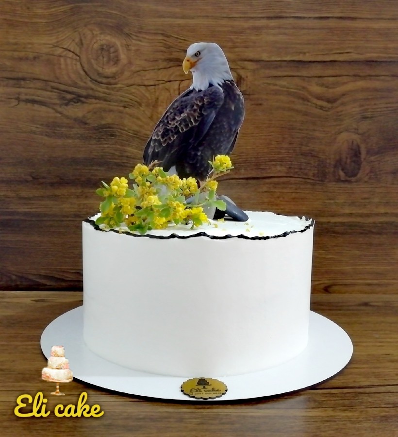 عکس کیک عقاب