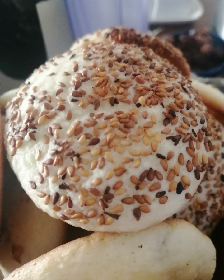 عکس کلوچه کنجدی و کشمشی خوشمزه?