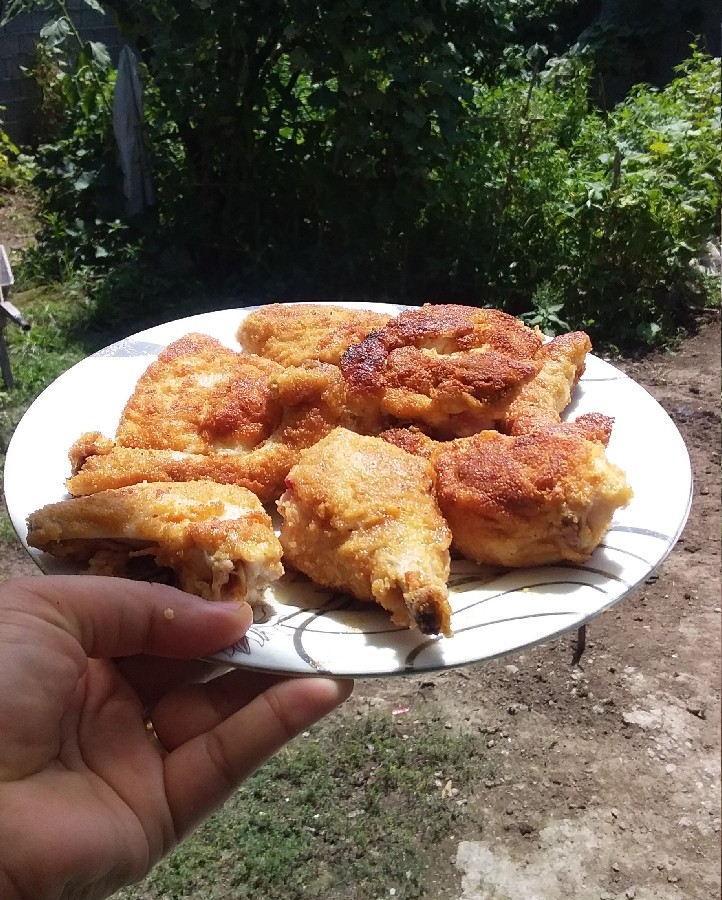 عکس مرغ سوخاری و سوسیس