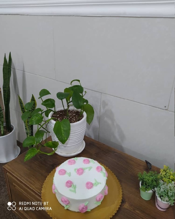 کیک تولد بافیلینگ خامه و شکلات چیپسی