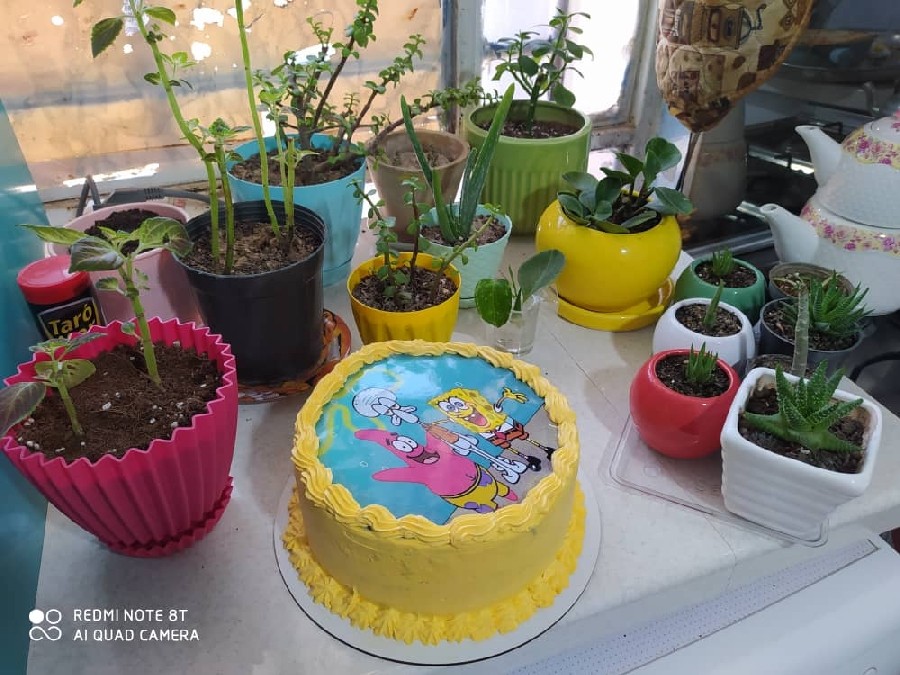 عکس کیک تولد سفارشی برای گل پسر دوستم