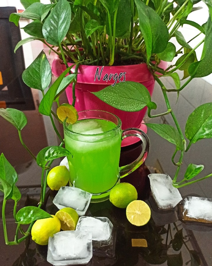 موهیتو کافی شاپی