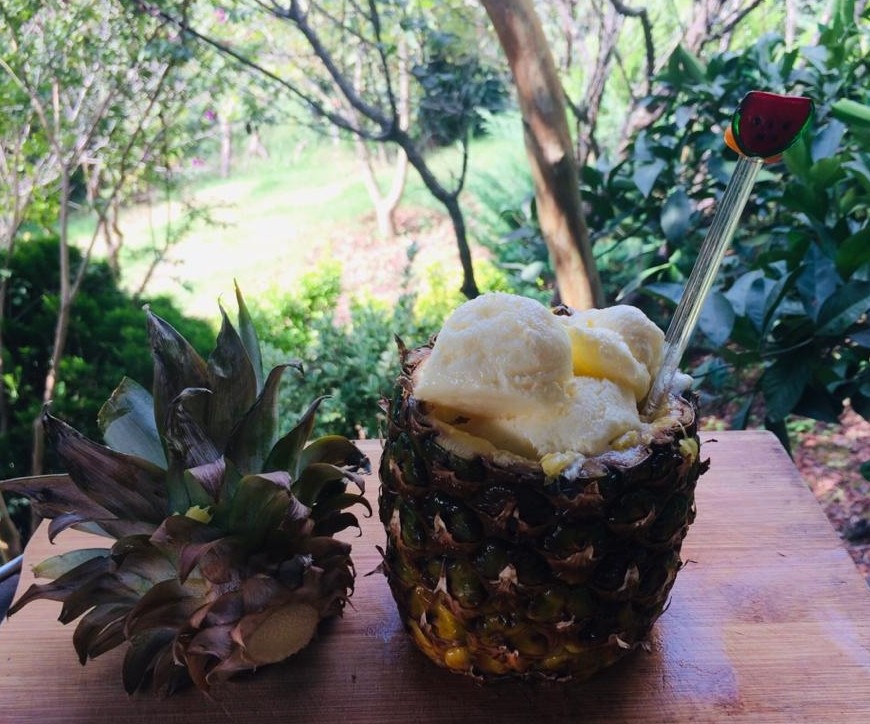 عکس بستنی آناناس خانگی