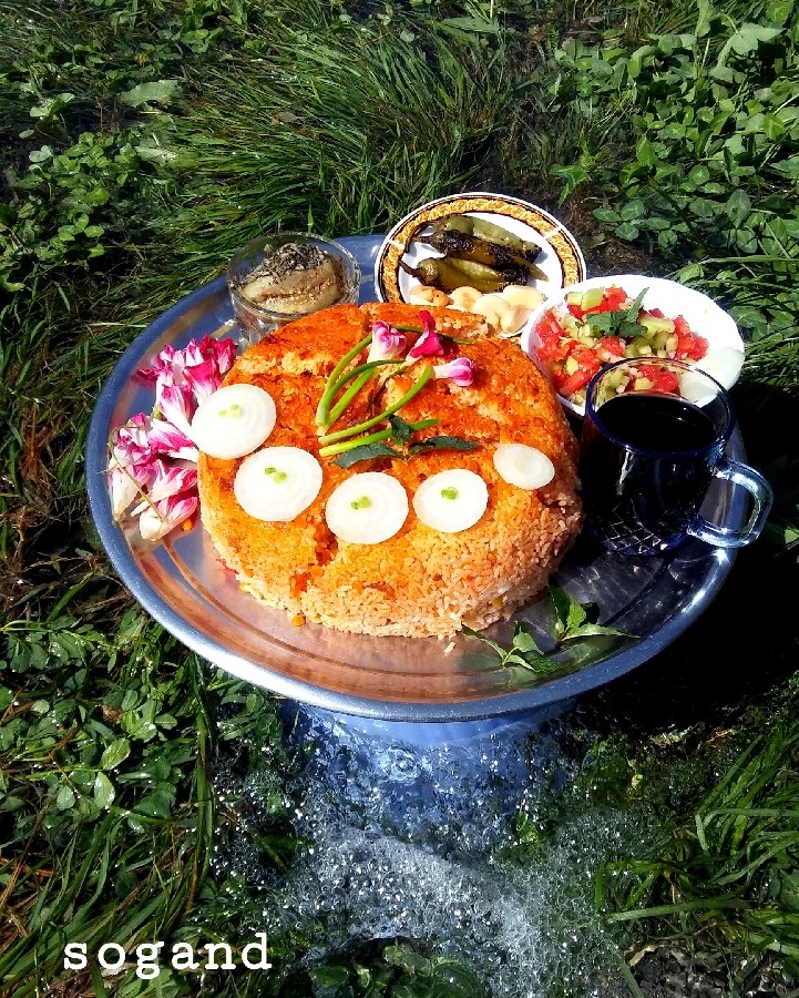 عکس دمی گوجه فرنگی