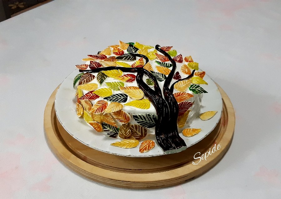 عکس کیک اسفنجی