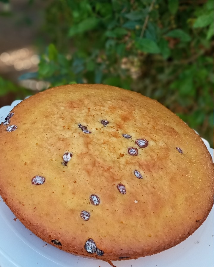 کیک کشمشی زعفرانی