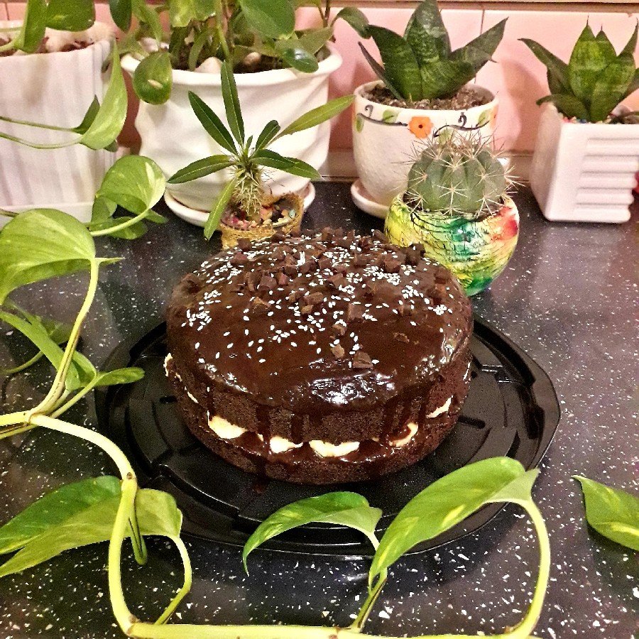 کیک شکلاتی با فیلینگ موز و گلیز شکلاتی وگان