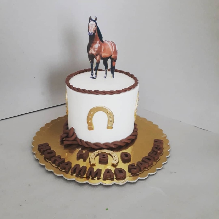 کیک محبوب اسب برای یه آقاپسر که عاشق اسبه?
