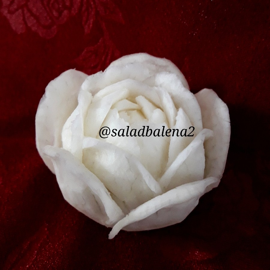 عکس گل رز با شلغم