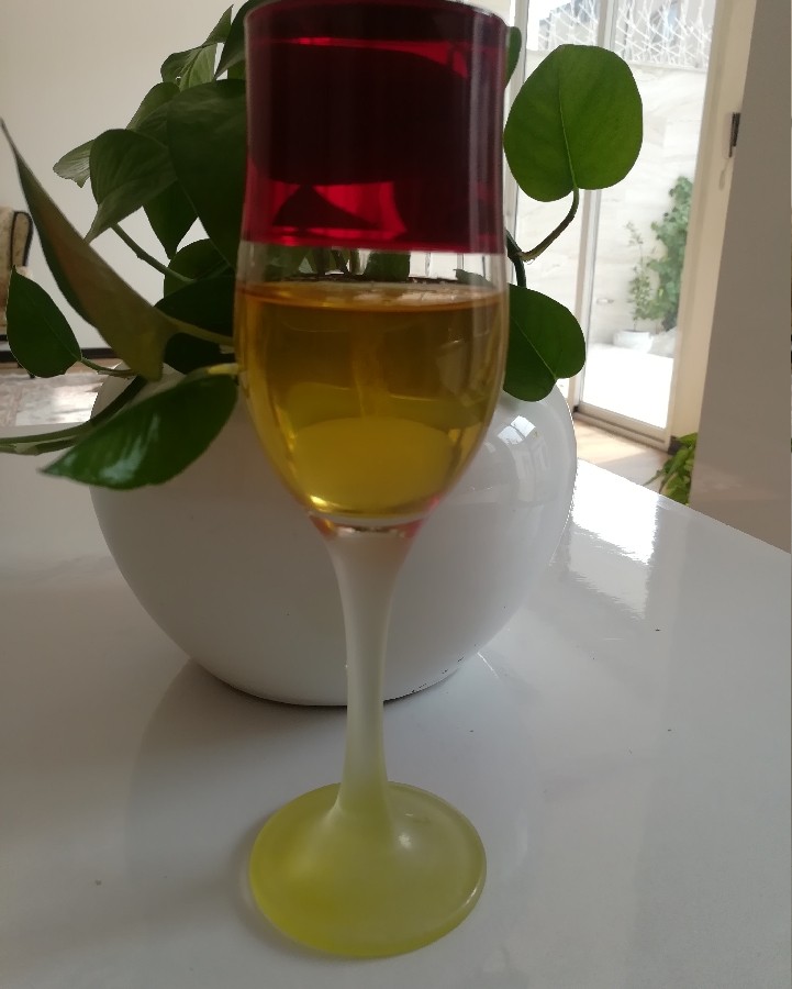 ژله میان تهی