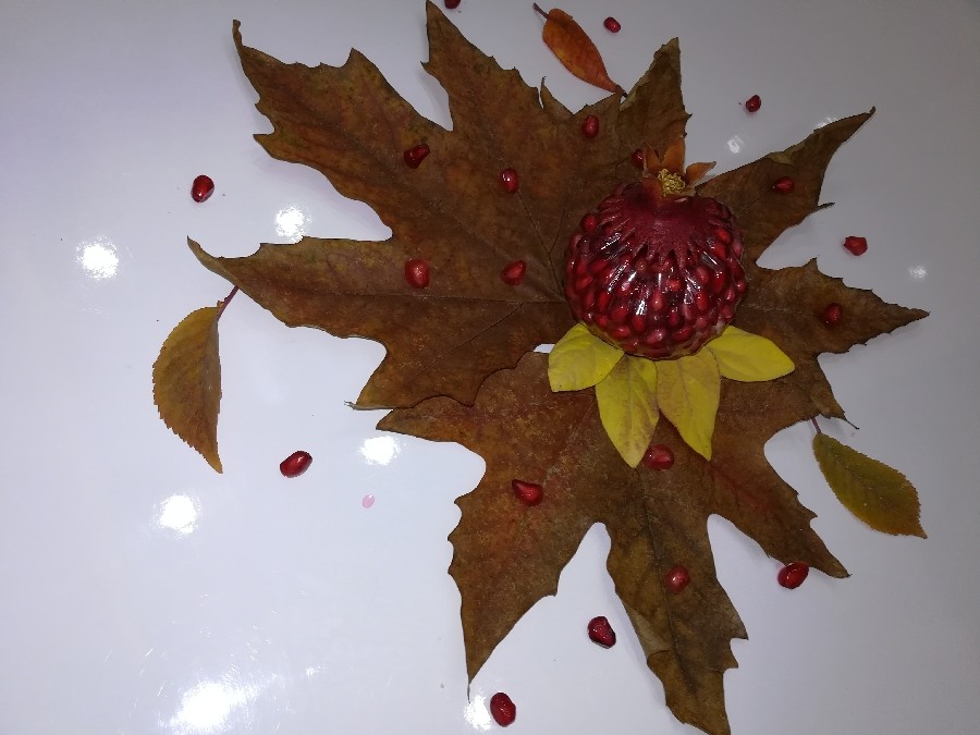 عکس انار سلفونی