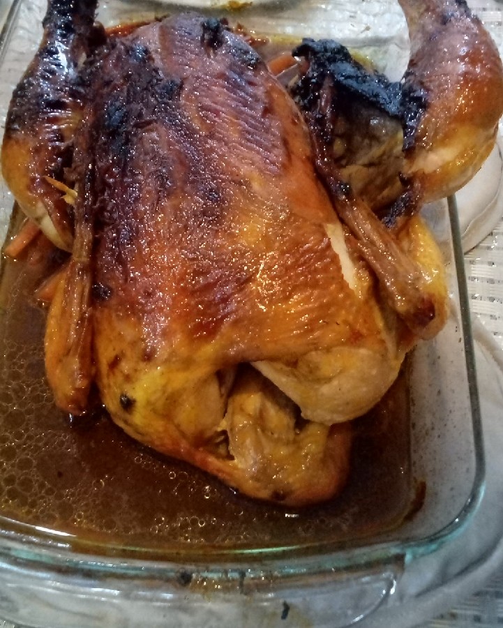 مرغ شکم پر هنر مامان جان