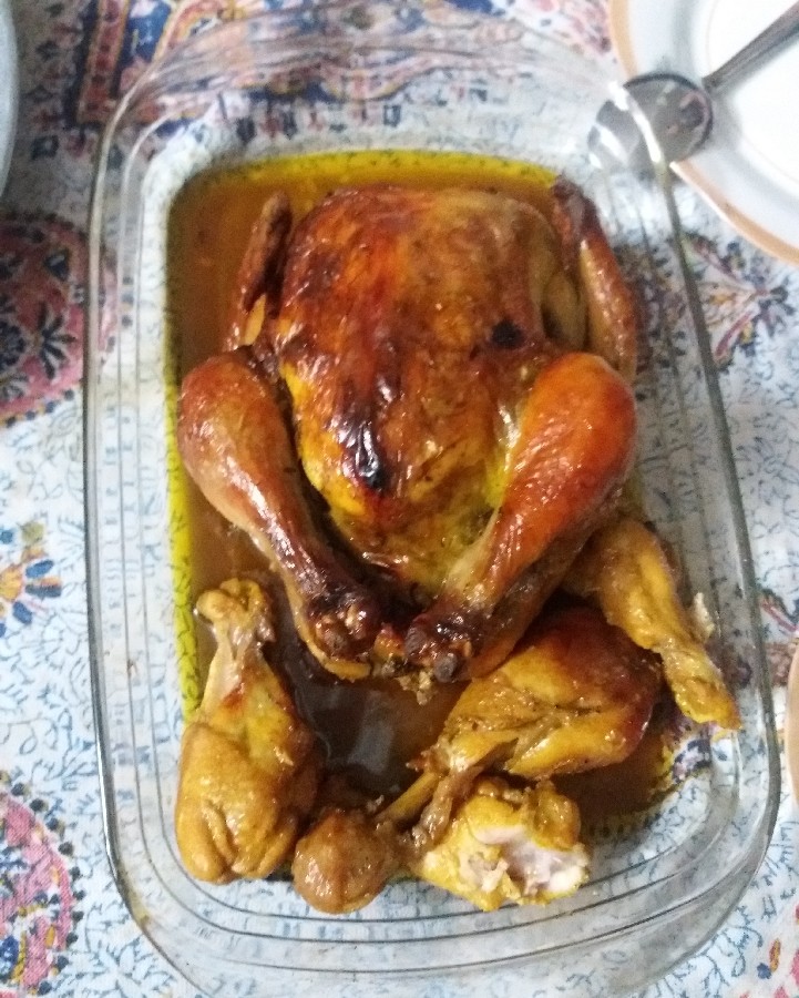 عکس باسلام مرغ شکم پر