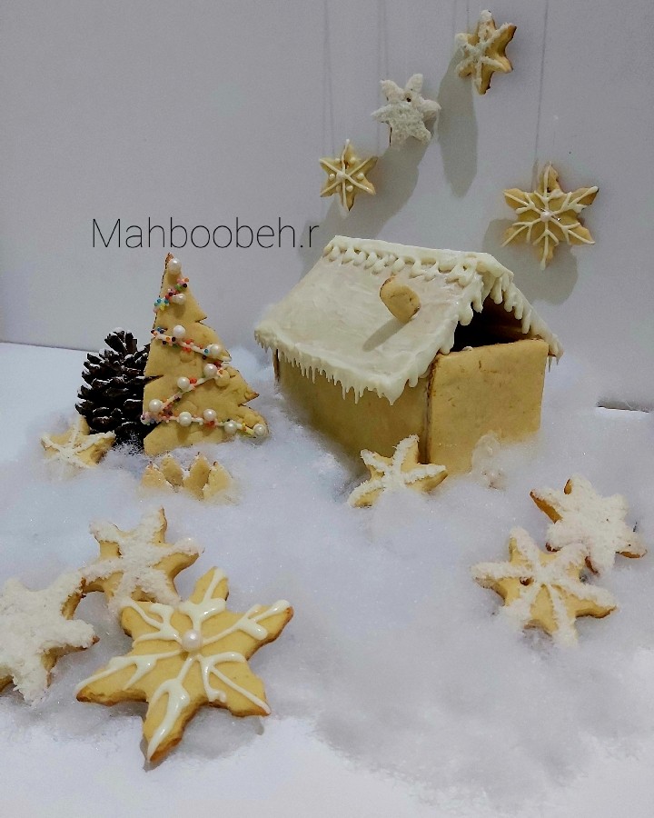 عکس بیسکویت پرتقالی