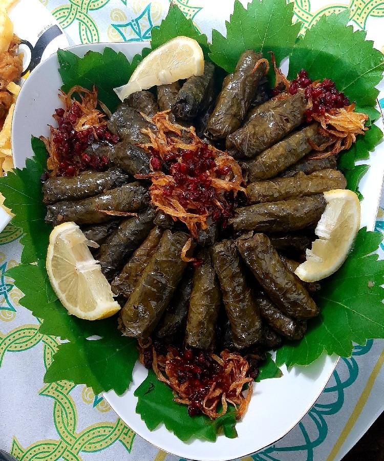 عکس دلمه برگ مو