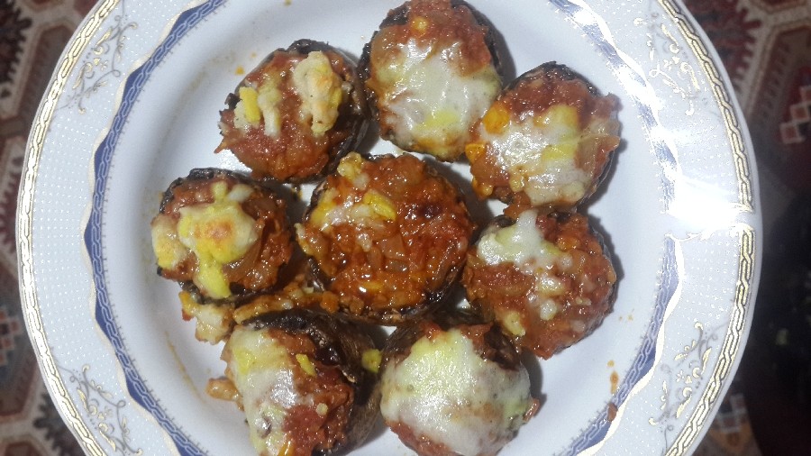 عکس قارچ شکم پر