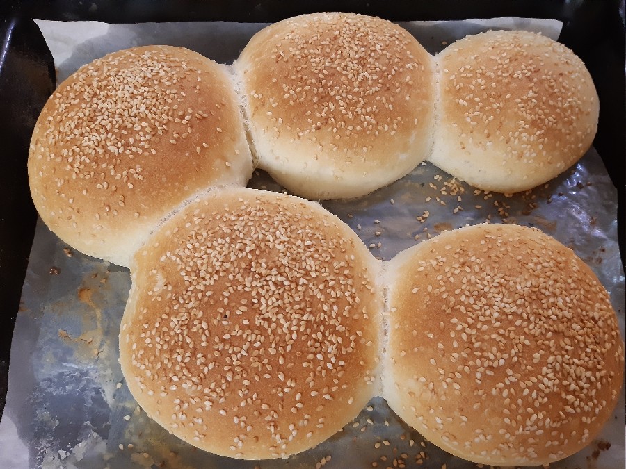 عکس همبرگر مهدیه بانو