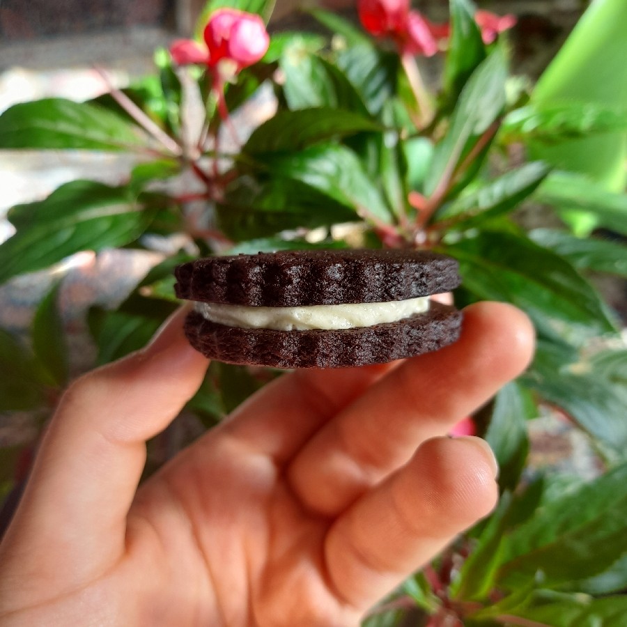 عکس بیسکوئیت اریو (Oreo)