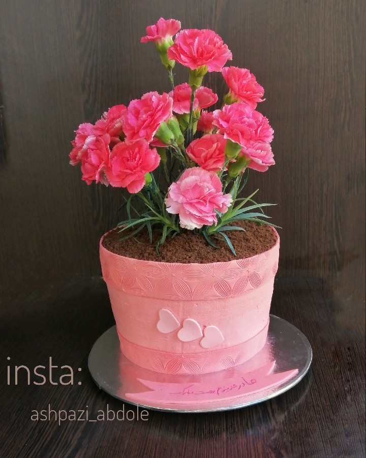 عکس کیک گلدان 