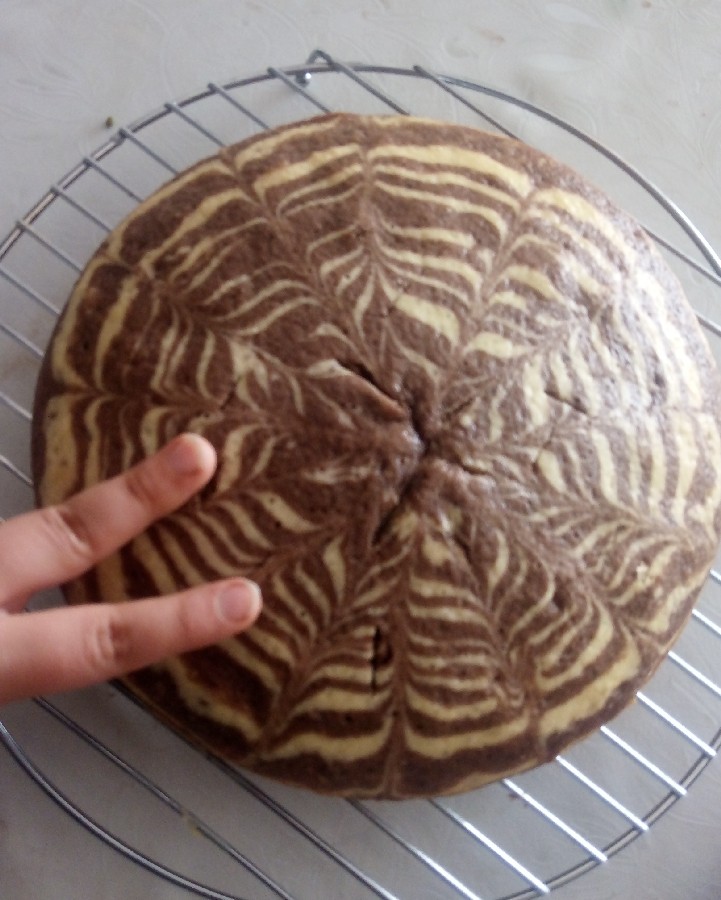 کیک زبرا یدورنگ