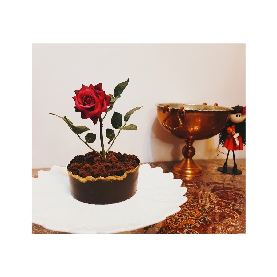 عکس کیک گلدان 