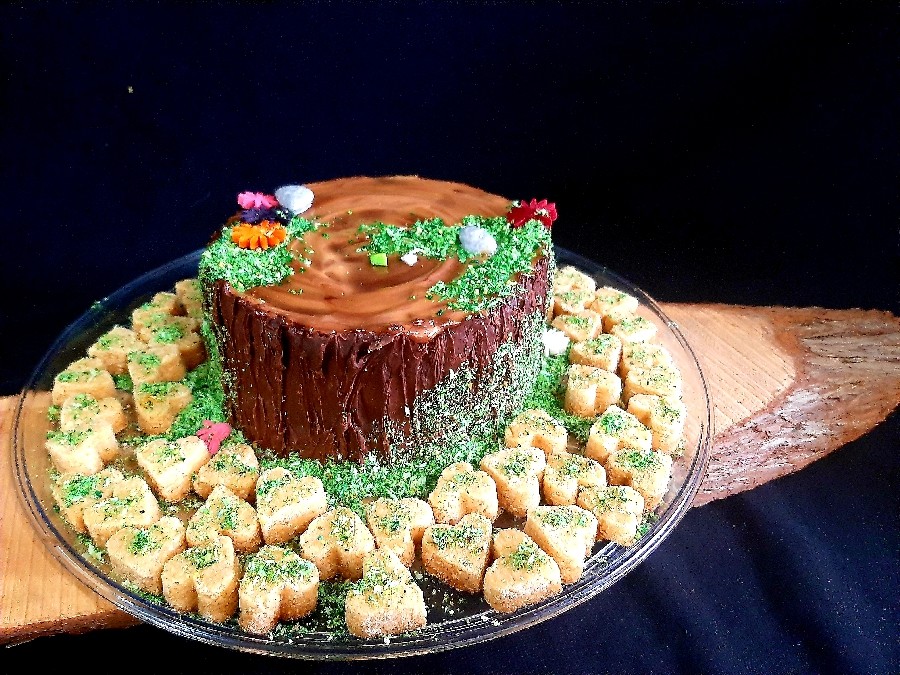 عکس کیک تنه درخت و نخودچی