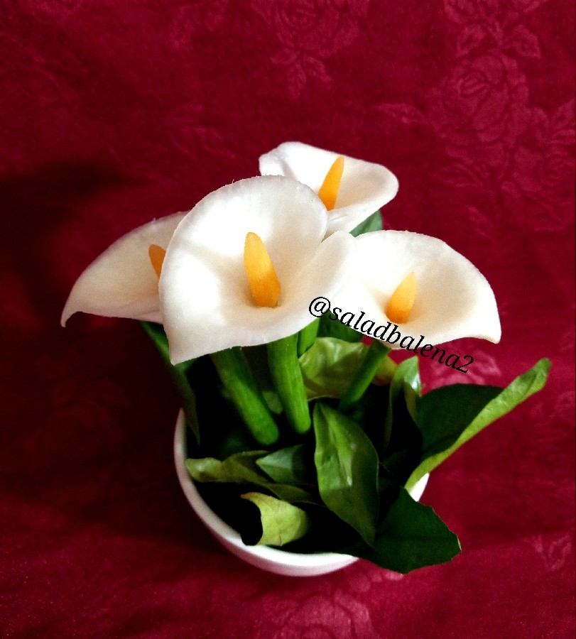 عکس گل شیپوری با شلغم