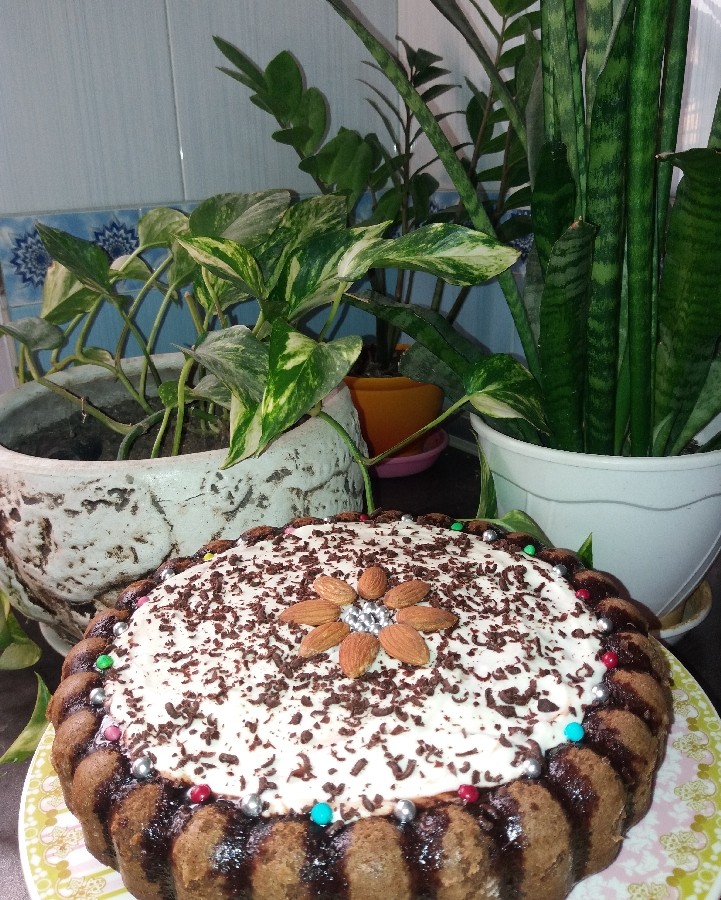 عکس کیک خیس شکلاتی 
با روکش خامه
