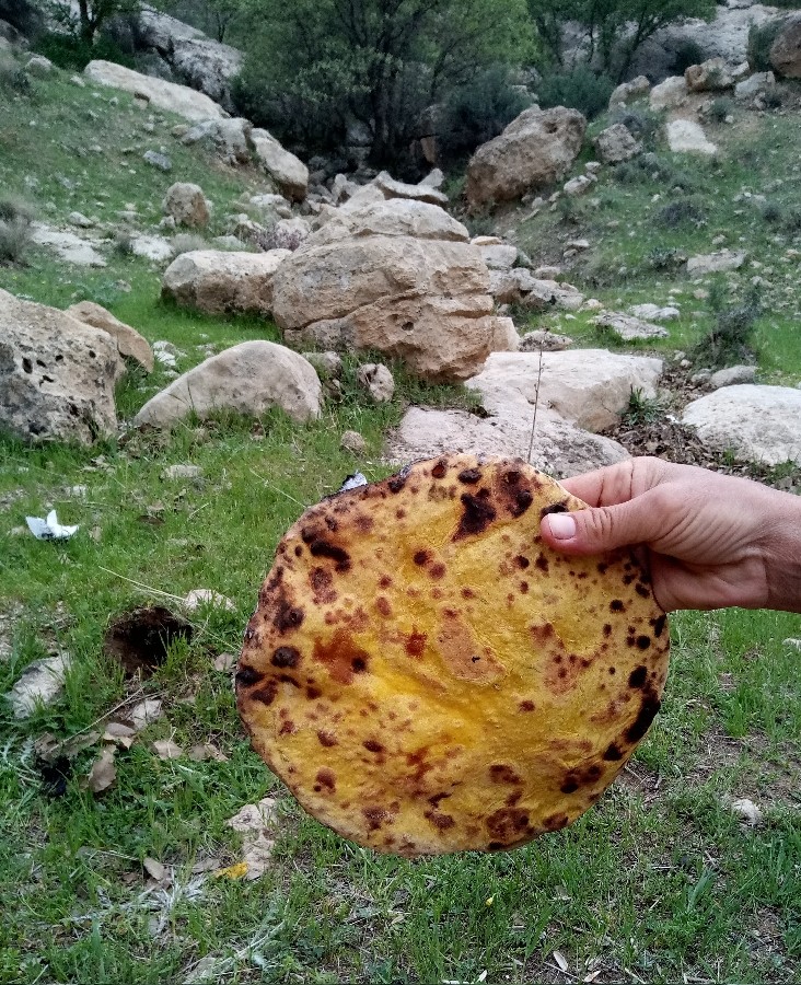 عکس نان گرده خانگی(استان کردستان)