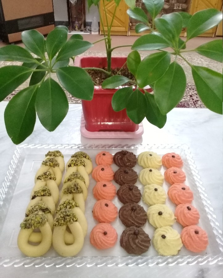 عکس شیرینی بهشتی و اشکی جای همتون سبز