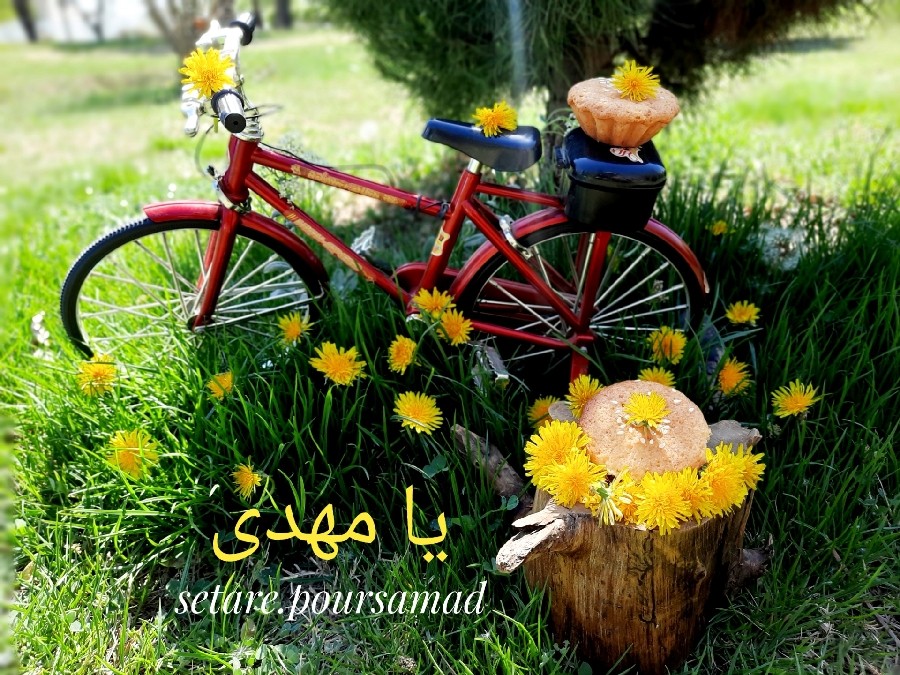 عکس کیک یزدی