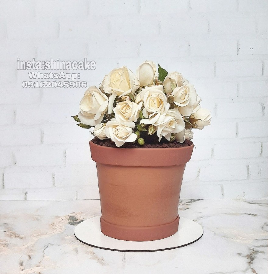 عکس کیک گلدان سه بعدی 