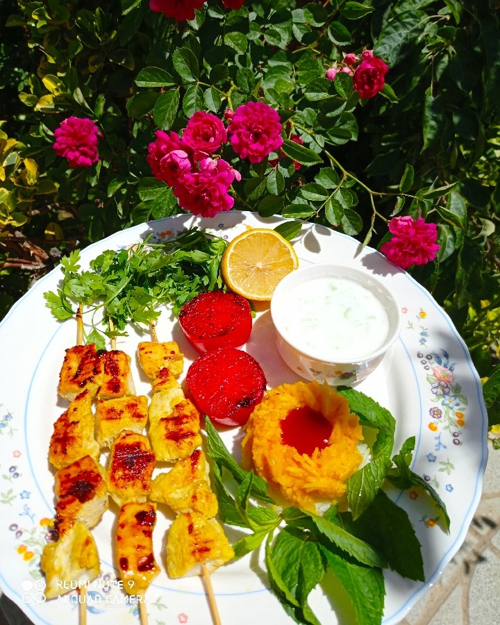 عکس جوجه تابه ای