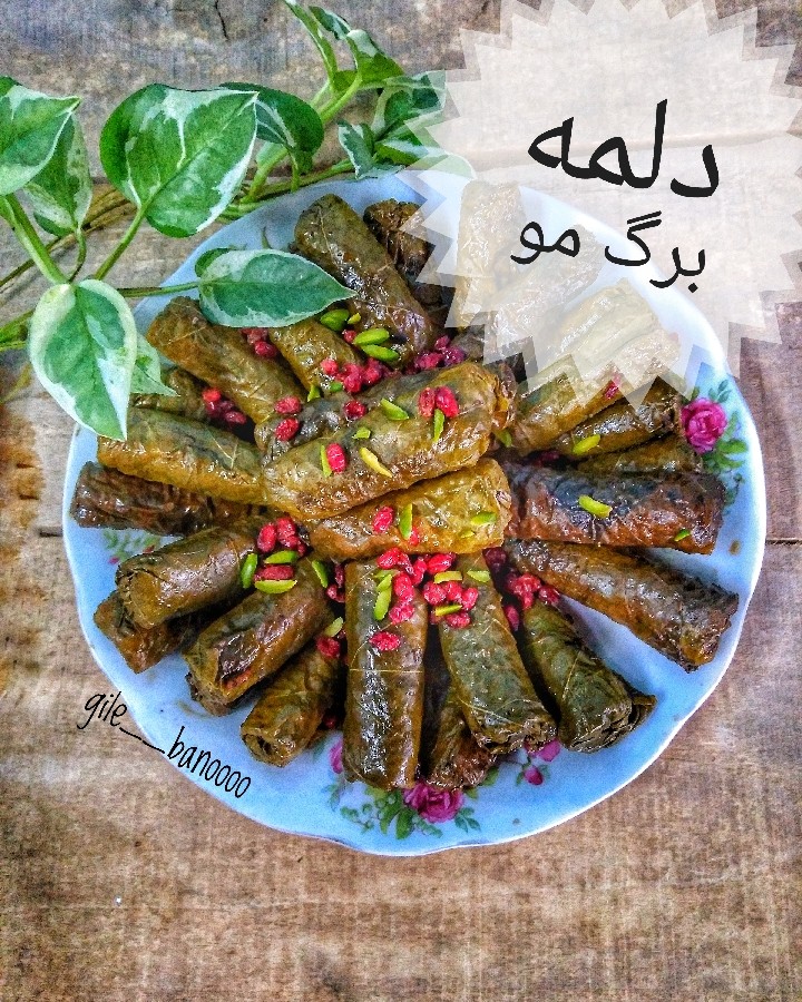 عکس دلمه_برگ_مو