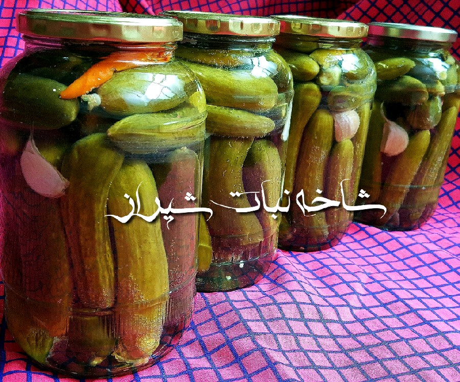 عکس خیارشور یک روزه