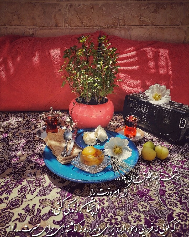 عکس مربای زردالو