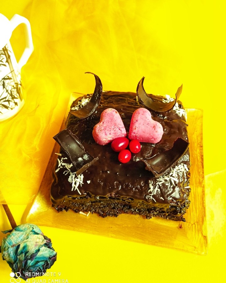 عکس کیک شکلاتی گریان(ağlayan kek)
لطفاً کپشن خوانده شود