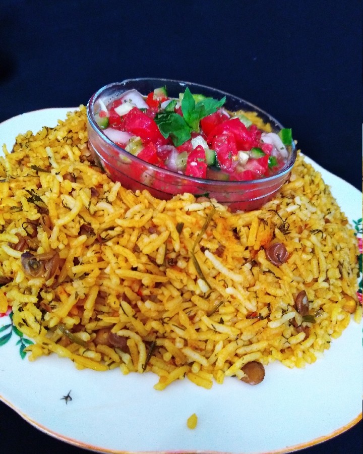 عکس کـــتــه