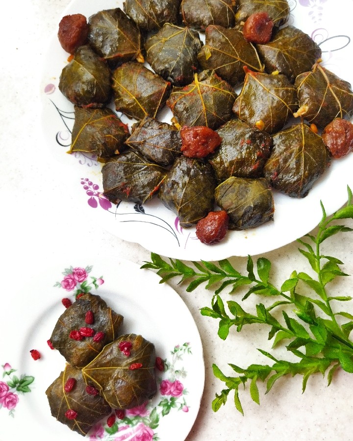 عکس دلمه برگ مو