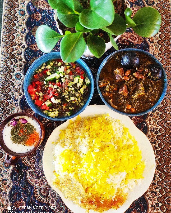 قرمه سبزی و سالاد شیرازی 