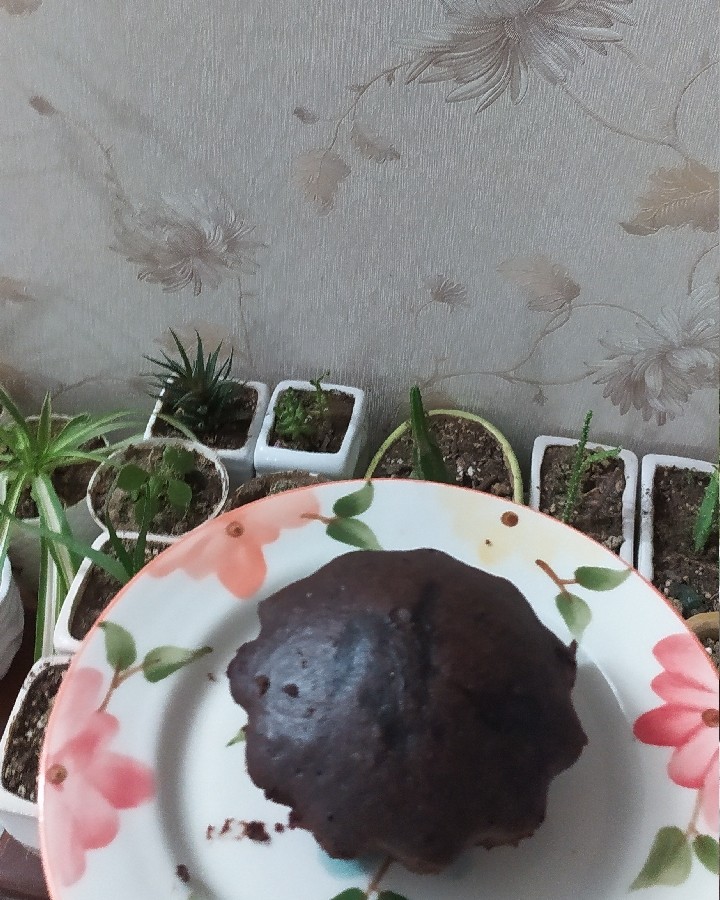 کاپ کیک شکلاتی 