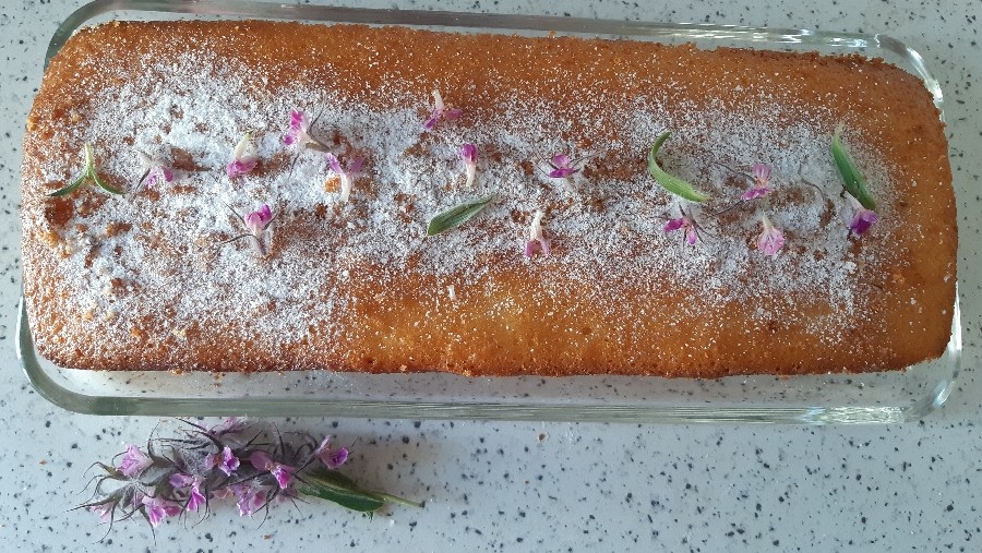 عکس کیک صبحانه تزیین با گل کاکوتی