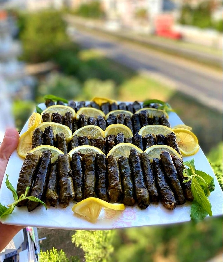 عکس دلمه برگ مو