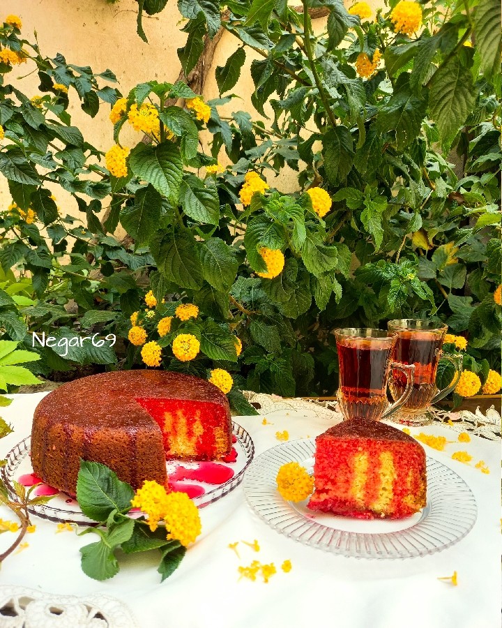 عکس کیک نارگیلی 