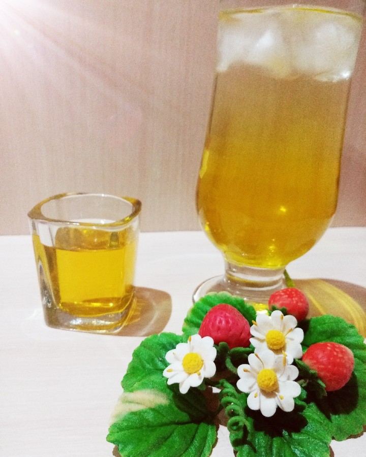 شربت سکنجبین