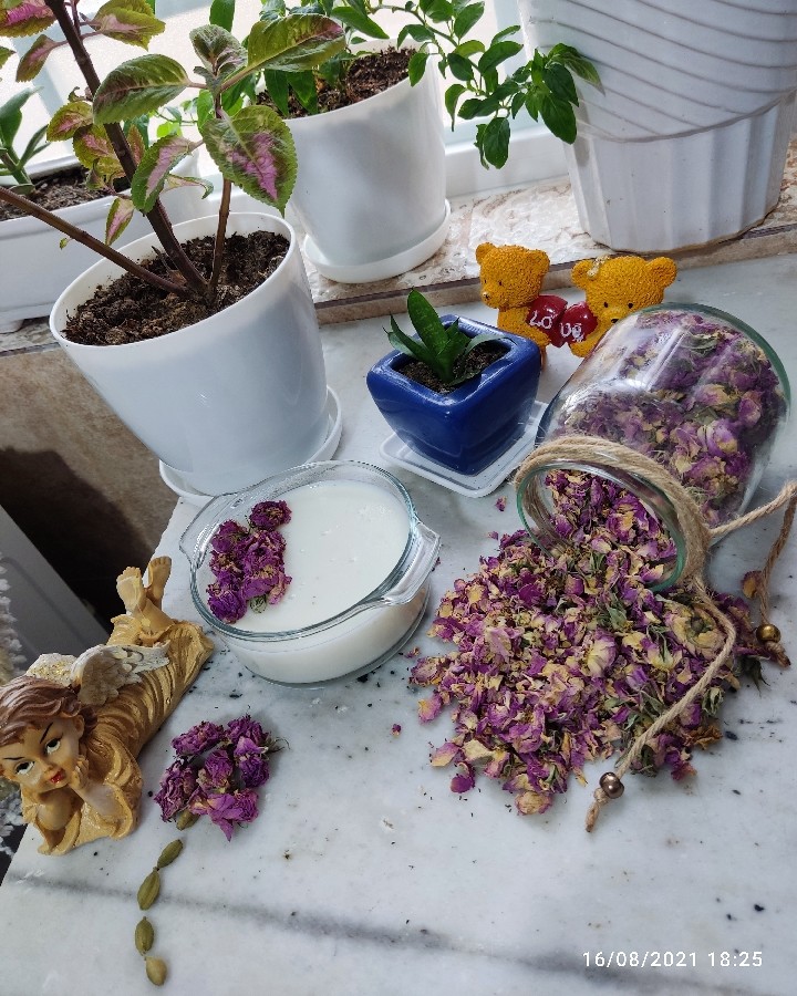 عکس فرنی یهویی