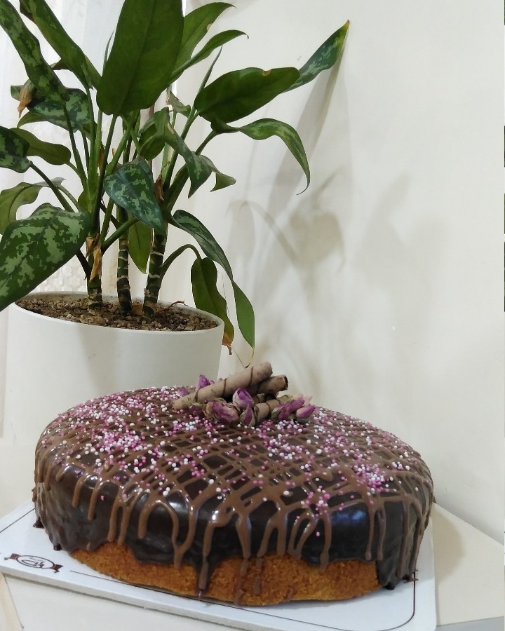 کیک وانیلی با روکش شکلات 
