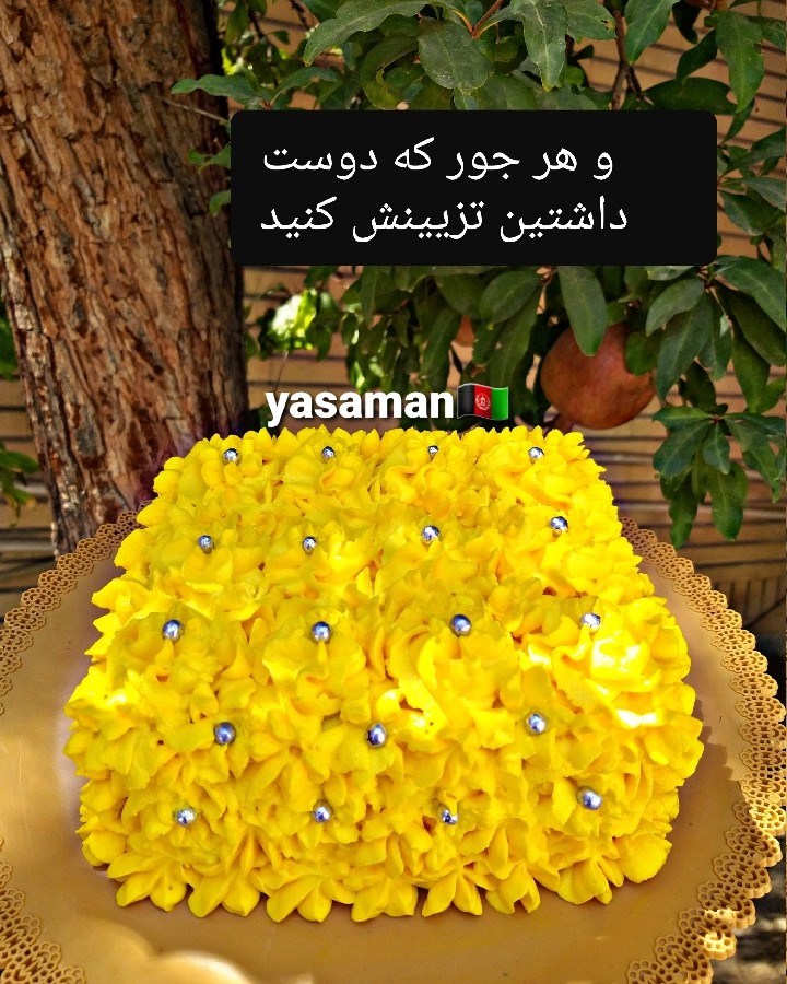 عکس کیک یخچالی شکلاتی